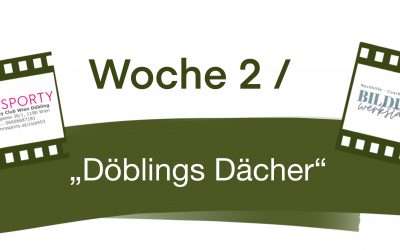 Woche 2 / Döblings Dächer